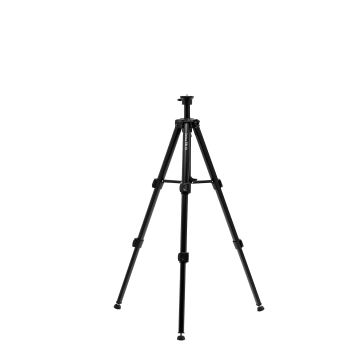 975718.jpg