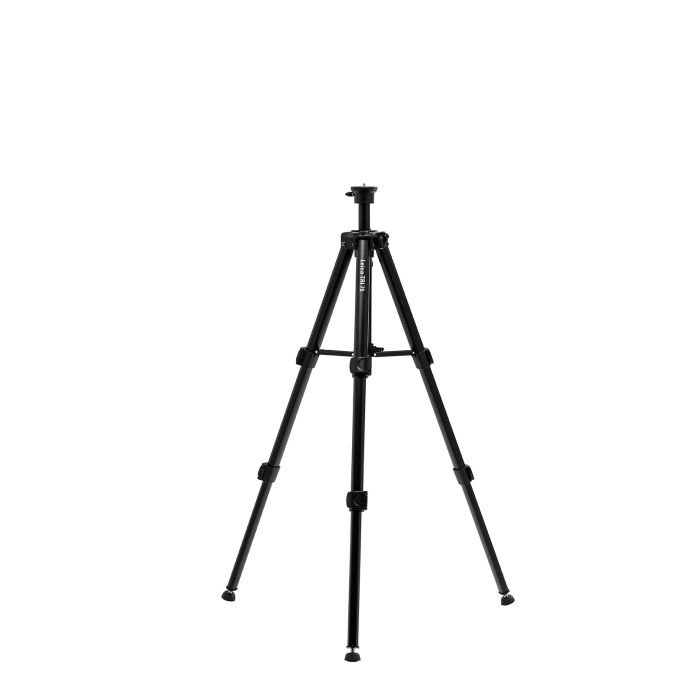 975718.jpg